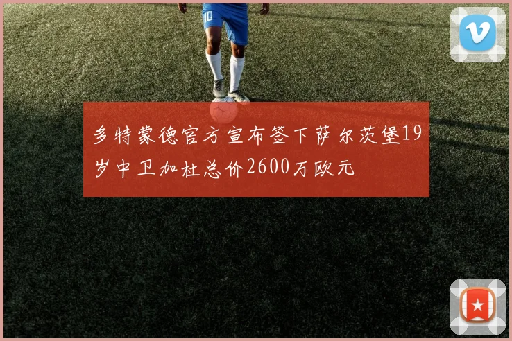 多特蒙德官方宣布签下萨尔茨堡19岁中卫加杜总价2600万欧元